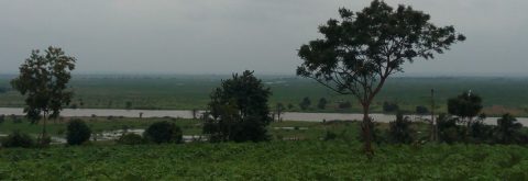 Environnement & climat
